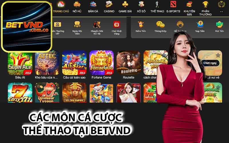 Các môn cá cược thể thao tại Betvnd