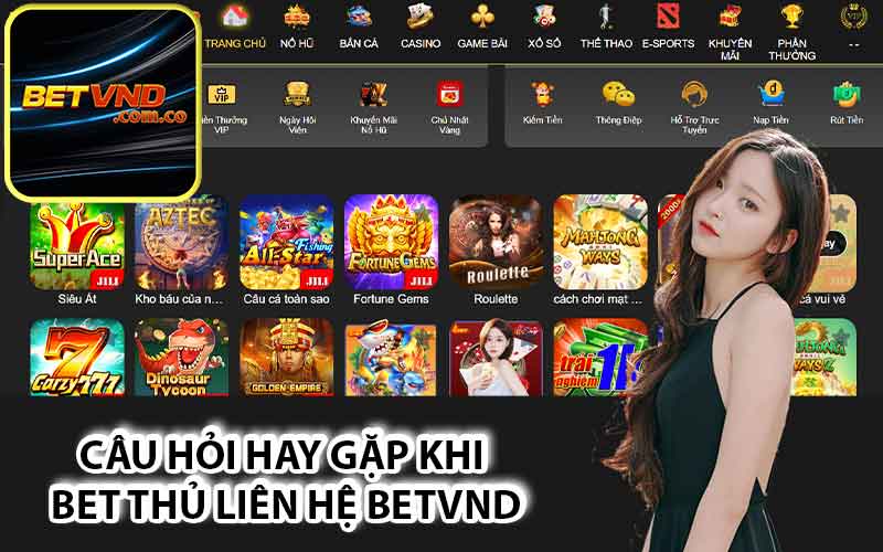 Câu hỏi hay gặp khi bet thủ liên hệ Betvnd