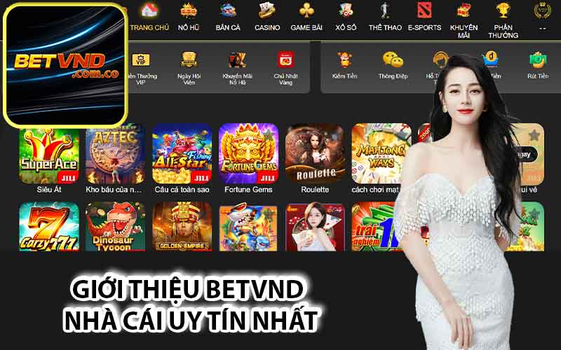 Giới thiệu Betvnd nhà cái uy tín nhất