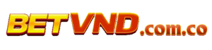 Logo Betvnd